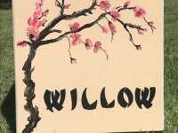 Willow