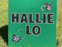 Hallie