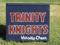 Trinity Knights