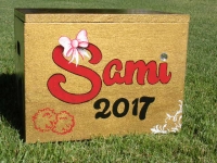 Sami 2017