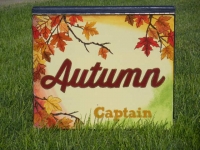 Autumn leaves