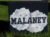 Malaney pom poms