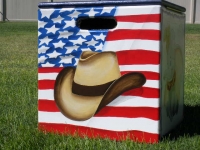 American Flag with Cowboy hat