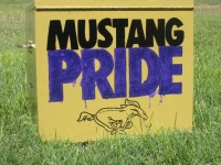 Mustang Pride