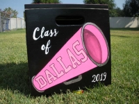 Pink Megaphone
