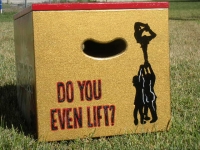 Do you Lift?