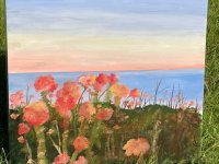 Beach poppies