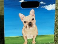 French Bulldog Rvca