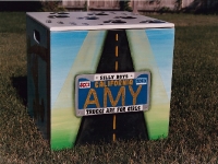 Amy Licence plate