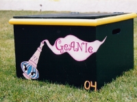 Geanie in a bottle