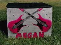 Megan Pink Guitar