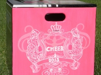 Victoria Secret Cheer
