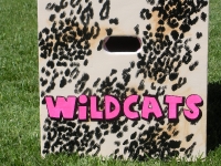 Cheetah Wildcats