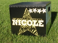 Zebra Star