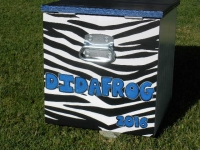 zebra