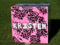 Pink Cheetah