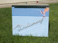 Delany Ice skate