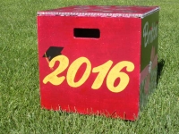 2016