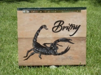 Scorpion