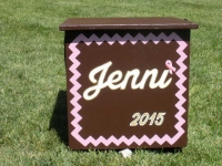 Jenni pink chevron stripe