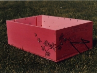 boxes20