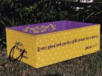boxes24