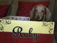 ruby